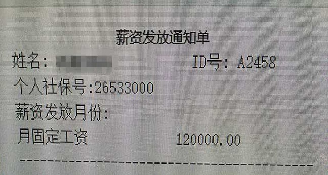工资单生成器装逼图制作